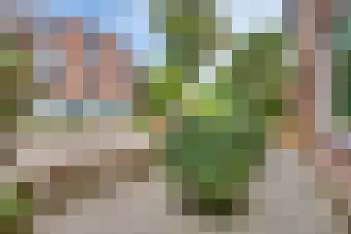 Dr. Ramaerlaan 3 Den Dolder thumbnail 40