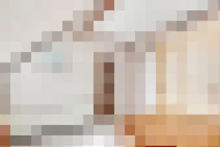 Dr. Ramaerlaan 9 Den Dolder thumbnail 22