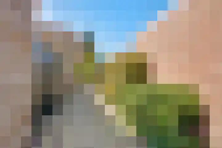 Dr. Ramaerlaan 9 Den Dolder thumbnail 30