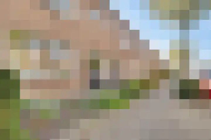 Dr. Ramaerlaan 9 Den Dolder thumbnail 33