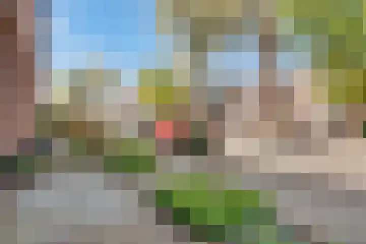 Dr. Ramaerlaan 9 Den Dolder thumbnail 34