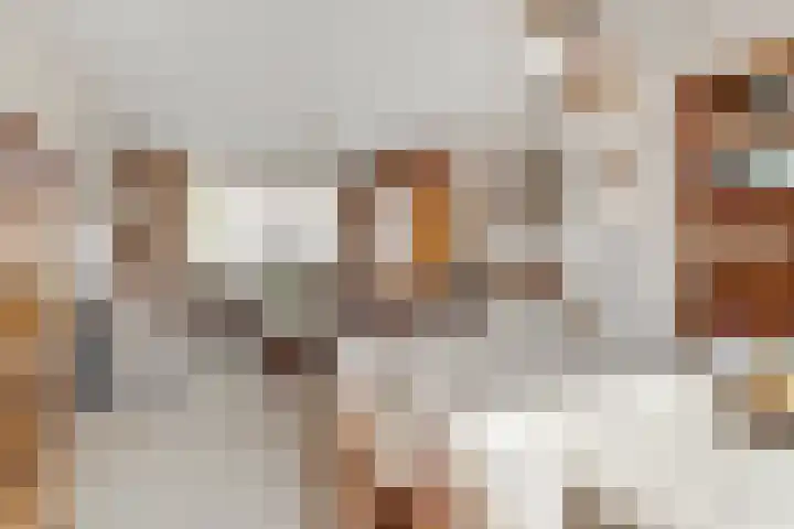 Dr. Ramaerlaan 9 Den Dolder thumbnail 6