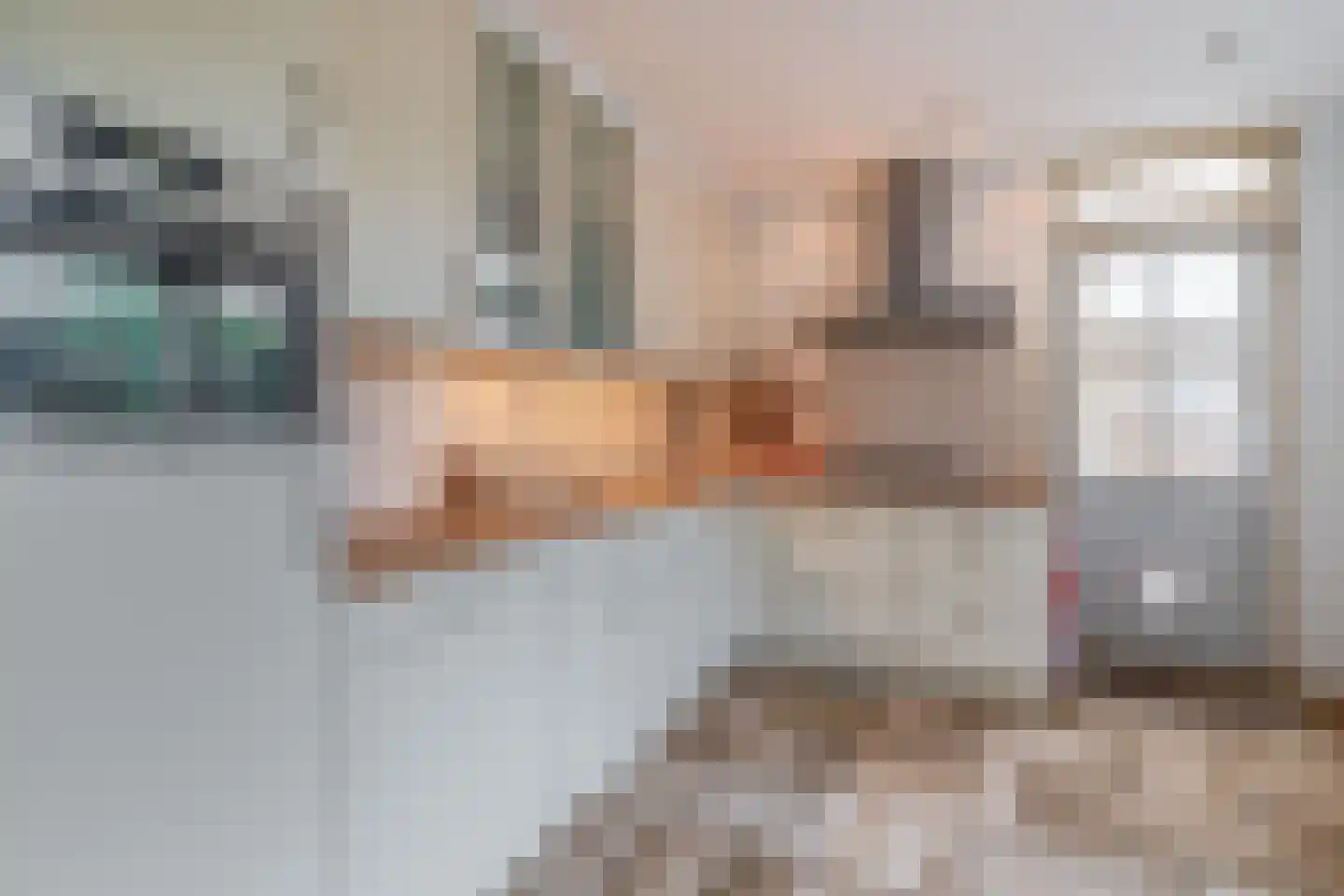 Dr. Ringersstraat 10 Waalwijk thumbnail 10