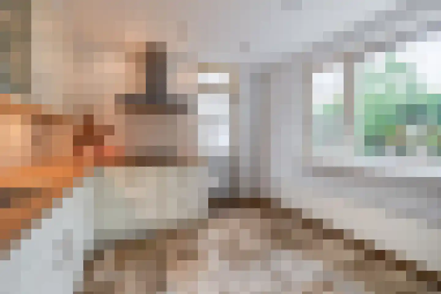 Dr. Ringersstraat 10 Waalwijk thumbnail 11