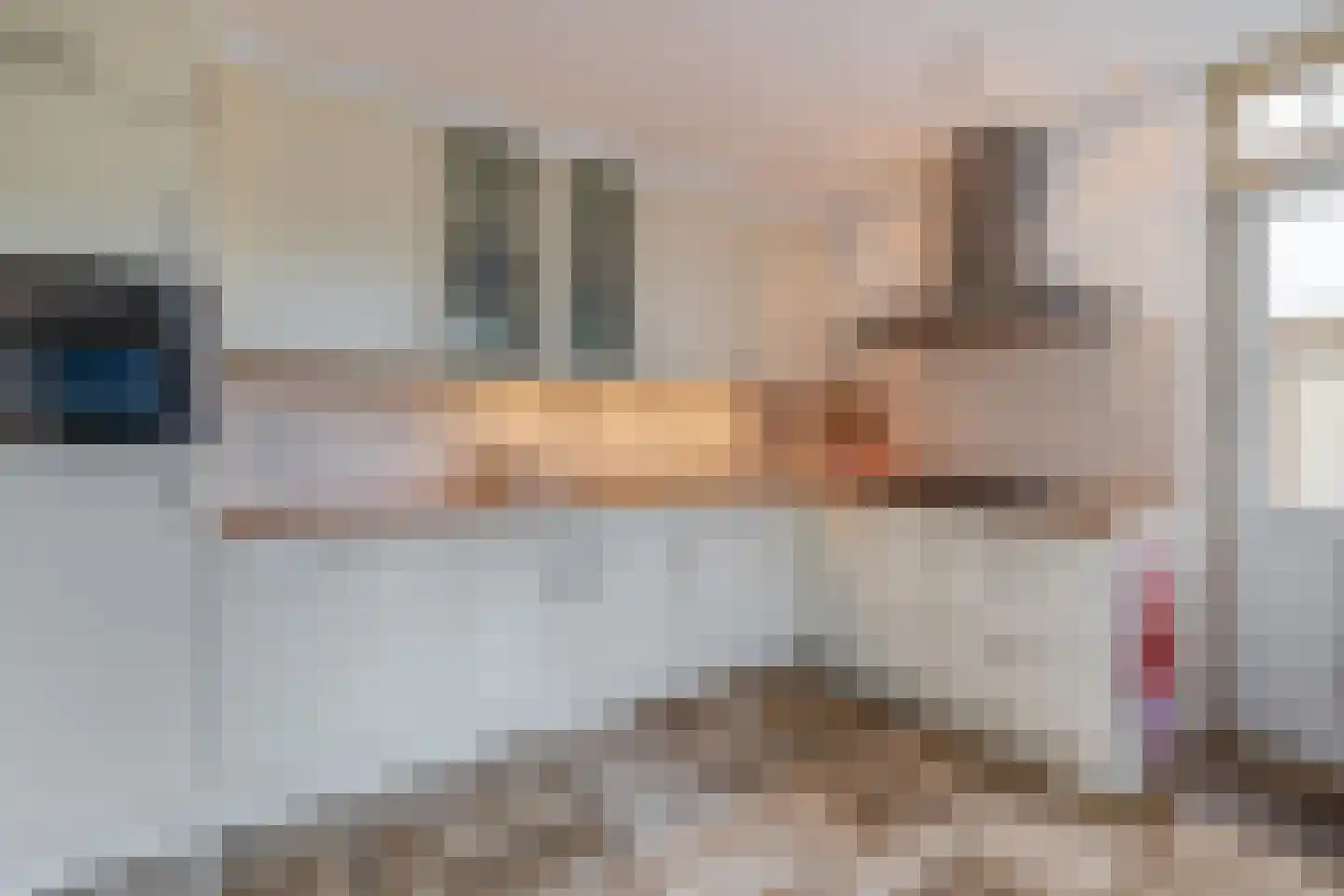 Dr. Ringersstraat 10 Waalwijk thumbnail 13