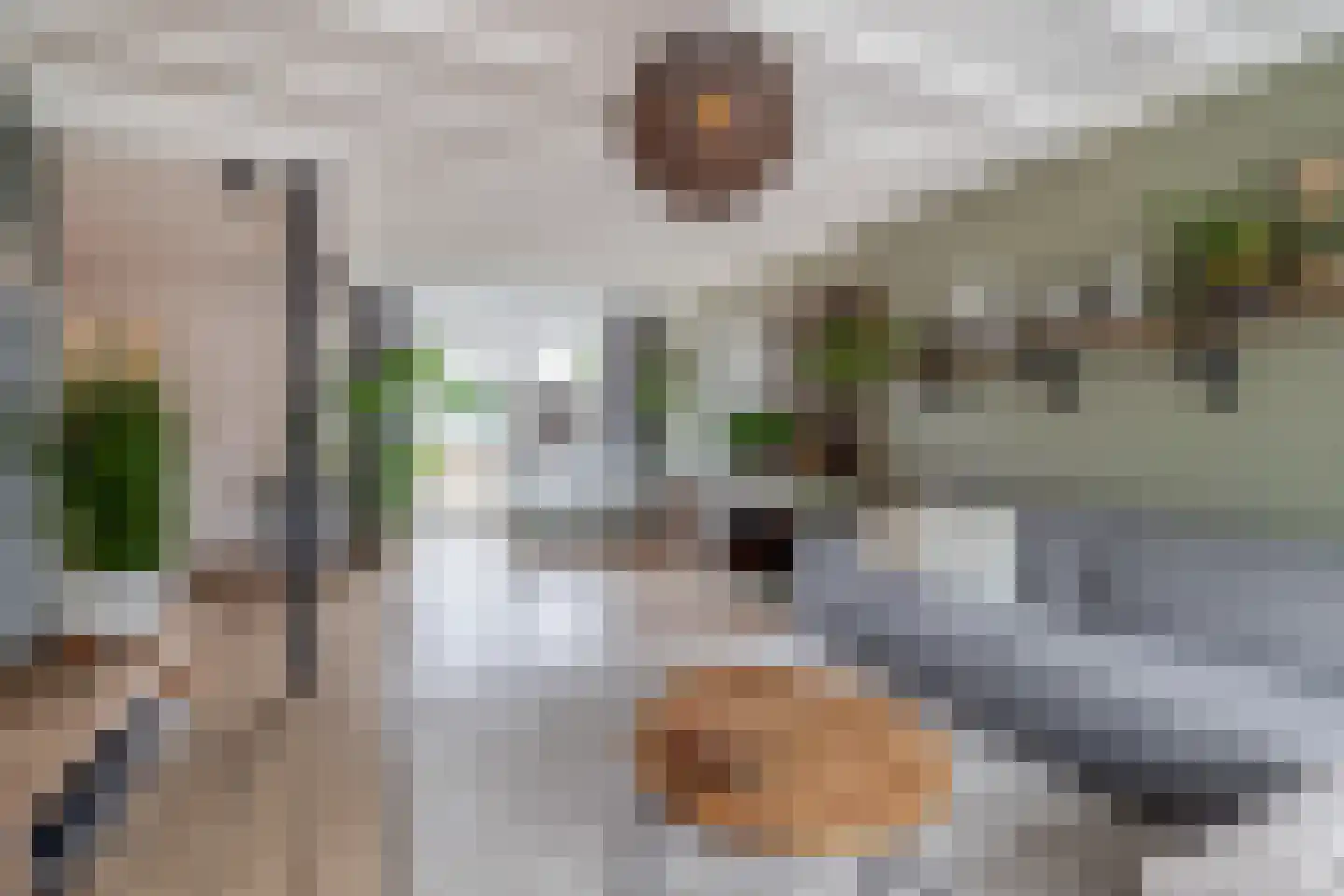 Dr. Ringersstraat 10 Waalwijk thumbnail 4