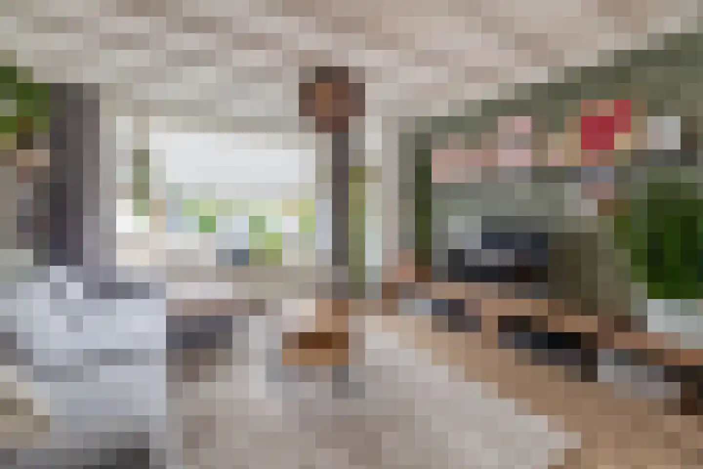 Dr. Ringersstraat 10 Waalwijk thumbnail 5