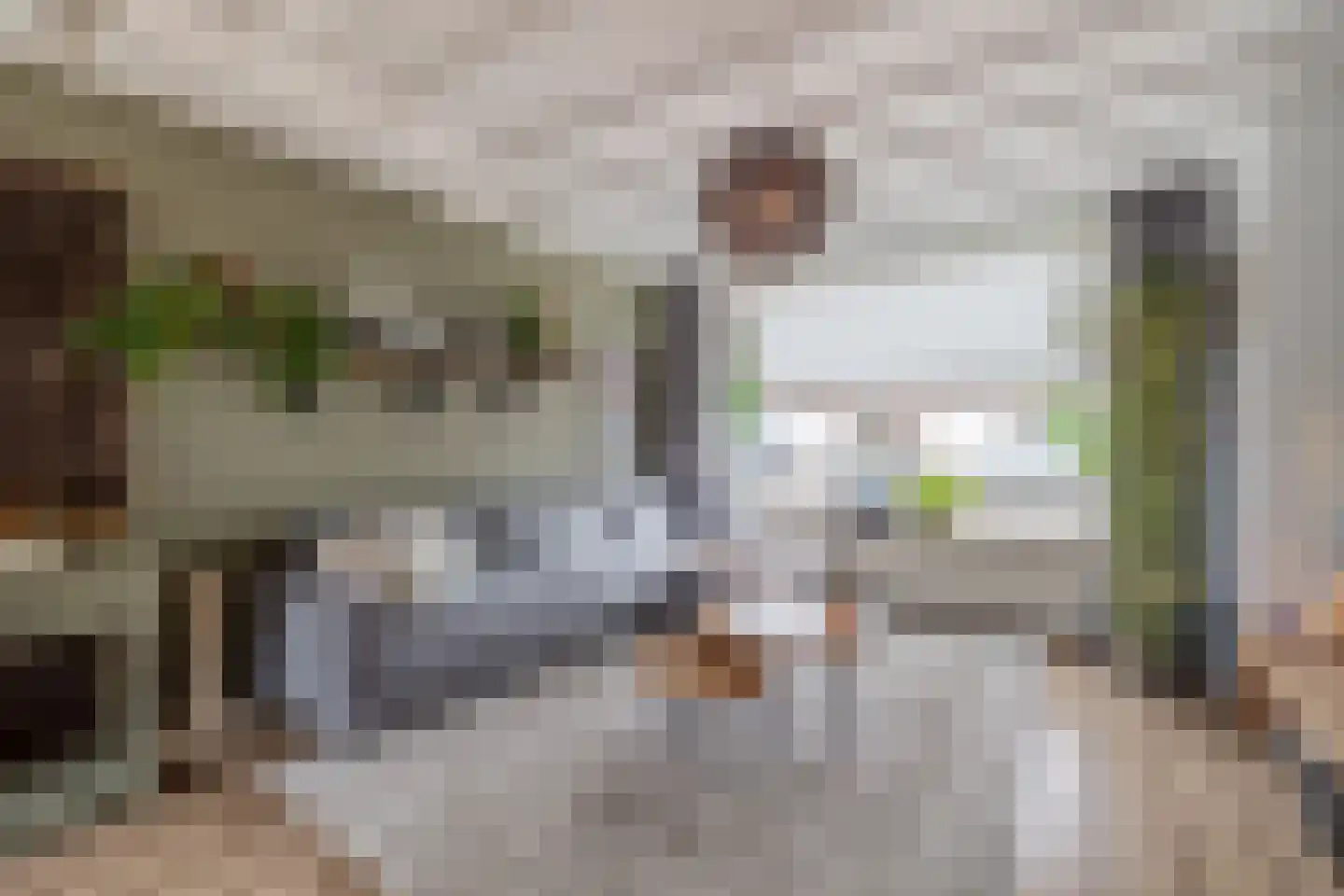 Dr. Ringersstraat 10 Waalwijk thumbnail 6