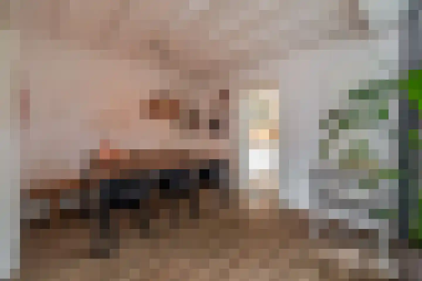 Dr. Ringersstraat 10 Waalwijk thumbnail 8