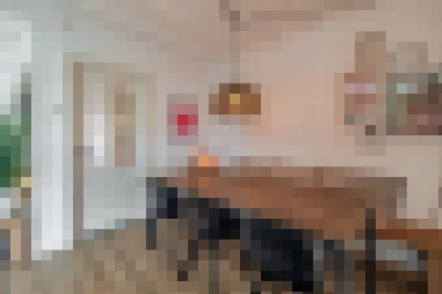 Dr. Ringersstraat 10 Waalwijk thumbnail 9