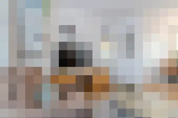Dr. Ringersstraat 13 Waalwijk thumbnail 5