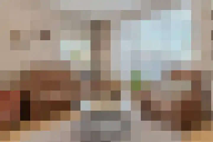 Dr. Ringersstraat 13 Waalwijk thumbnail 6