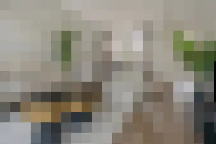 Dr. Ringersstraat 19 Waalwijk thumbnail 10
