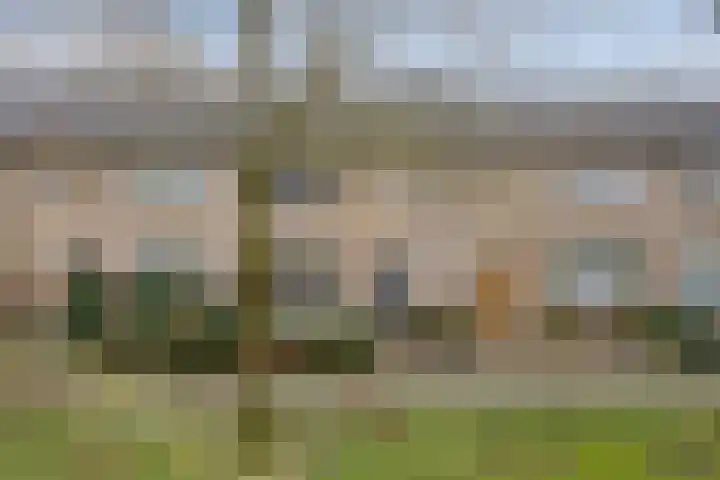 Dr. Ringersstraat 19 Waalwijk thumbnail 36