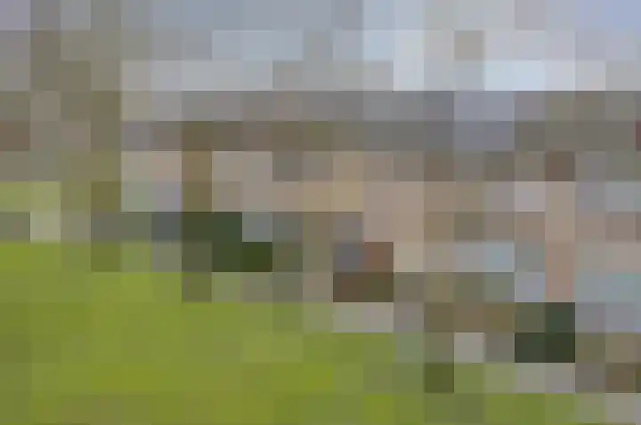 Dr. Ringersstraat 19 Waalwijk thumbnail 37