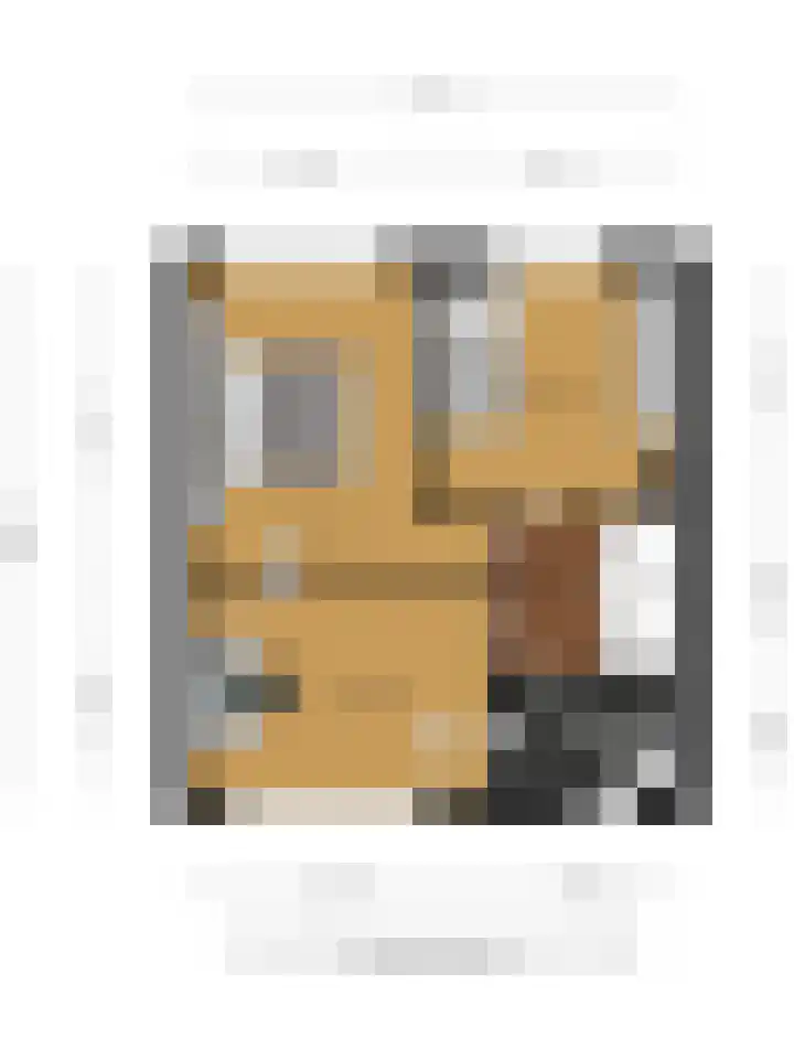 Dr. Ringersstraat 19 Waalwijk thumbnail 41