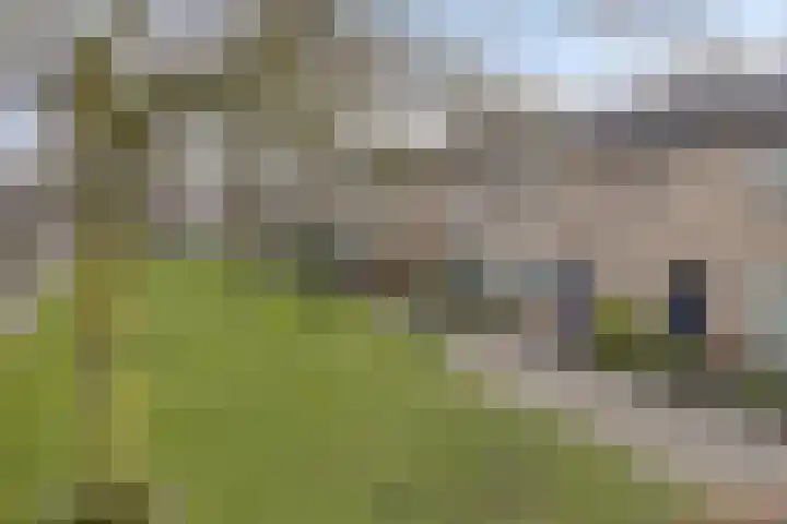 Dr. Ringersstraat 19 Waalwijk thumbnail 5