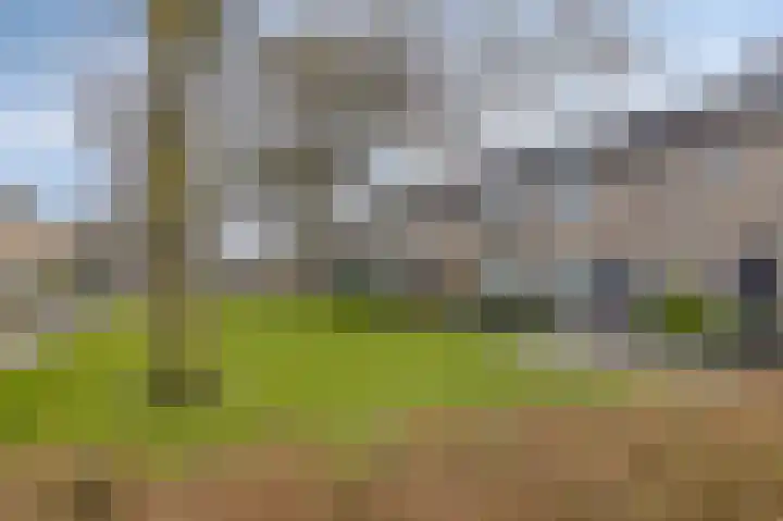 Dr. Ringersstraat 19 Waalwijk thumbnail 6