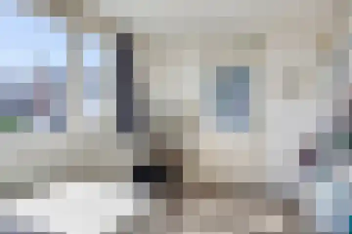 Dr. Ringersstraat 2 a Waalwijk thumbnail 29
