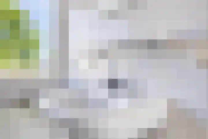 Dr. Ringersstraat 2 a Waalwijk thumbnail 32