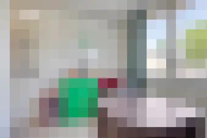 Dr. Ringersstraat 2 a Waalwijk thumbnail 34