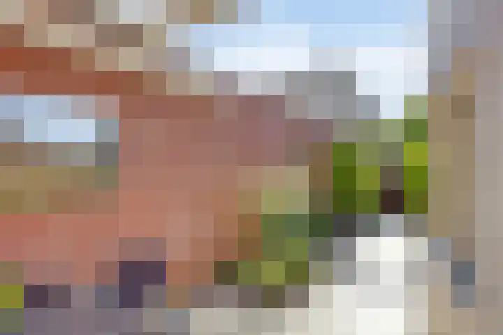 Dr. Ringersstraat 2 a Waalwijk thumbnail 39
