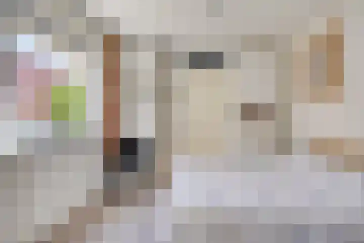 Dr. Ringersstraat 2 a Waalwijk thumbnail 4