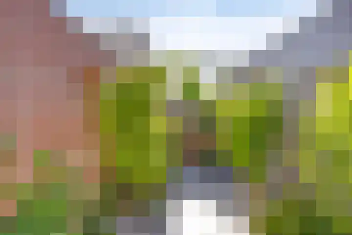 Dr. Ringersstraat 2 a Waalwijk thumbnail 43