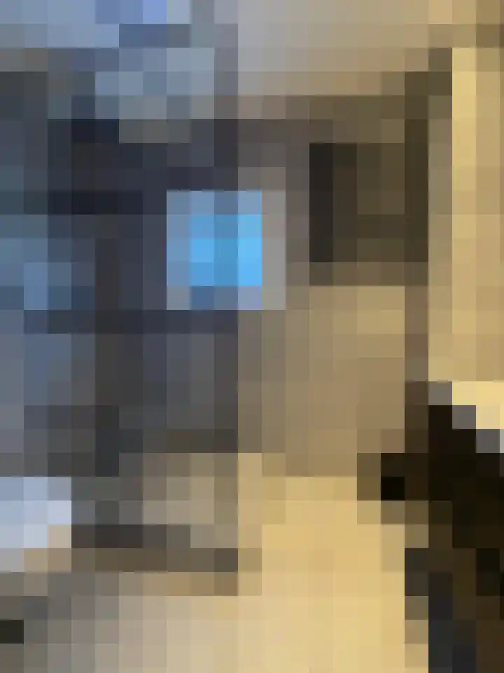 Dr. Ringersstraat 25 Waalwijk thumbnail 5