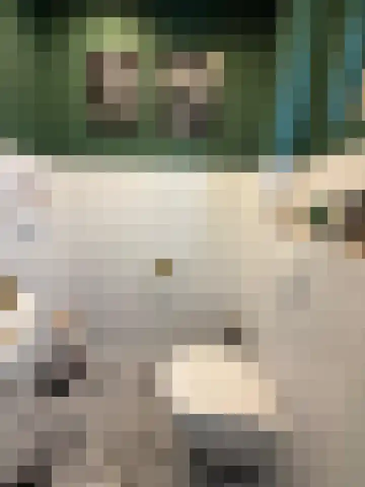 Dr. Ringersstraat 25 Waalwijk thumbnail 8