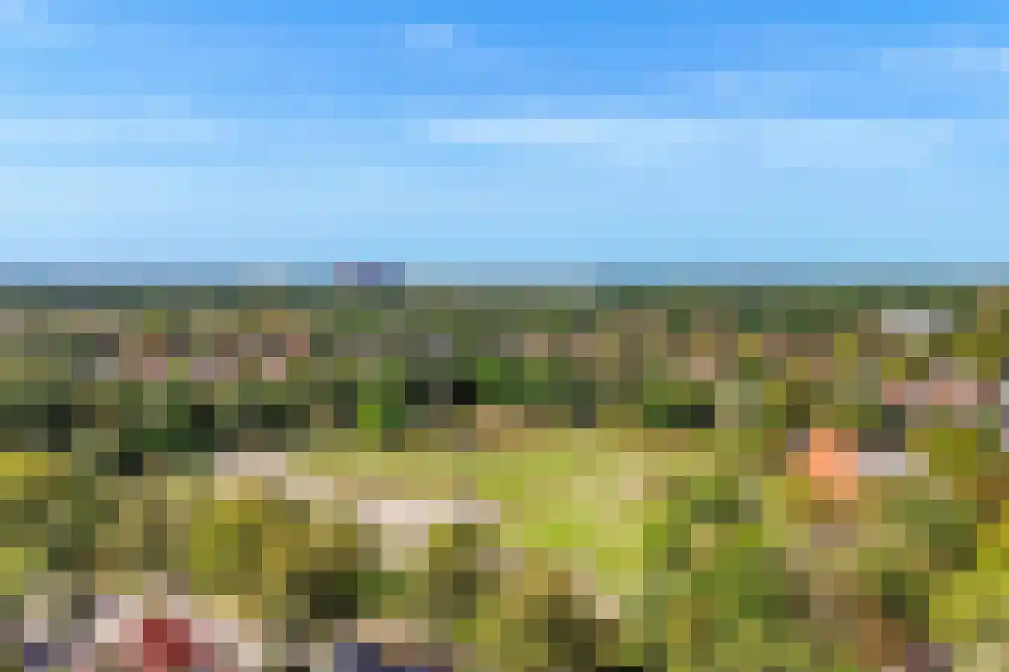 Dr. s'Jacoblaan 15 Zeist thumbnail 21