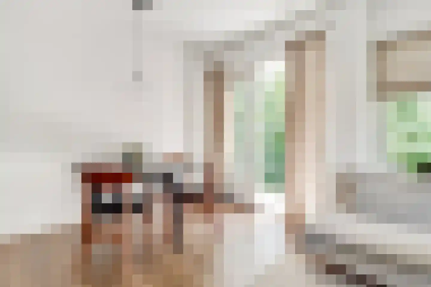 Dr. s'Jacoblaan 15 Zeist thumbnail 6