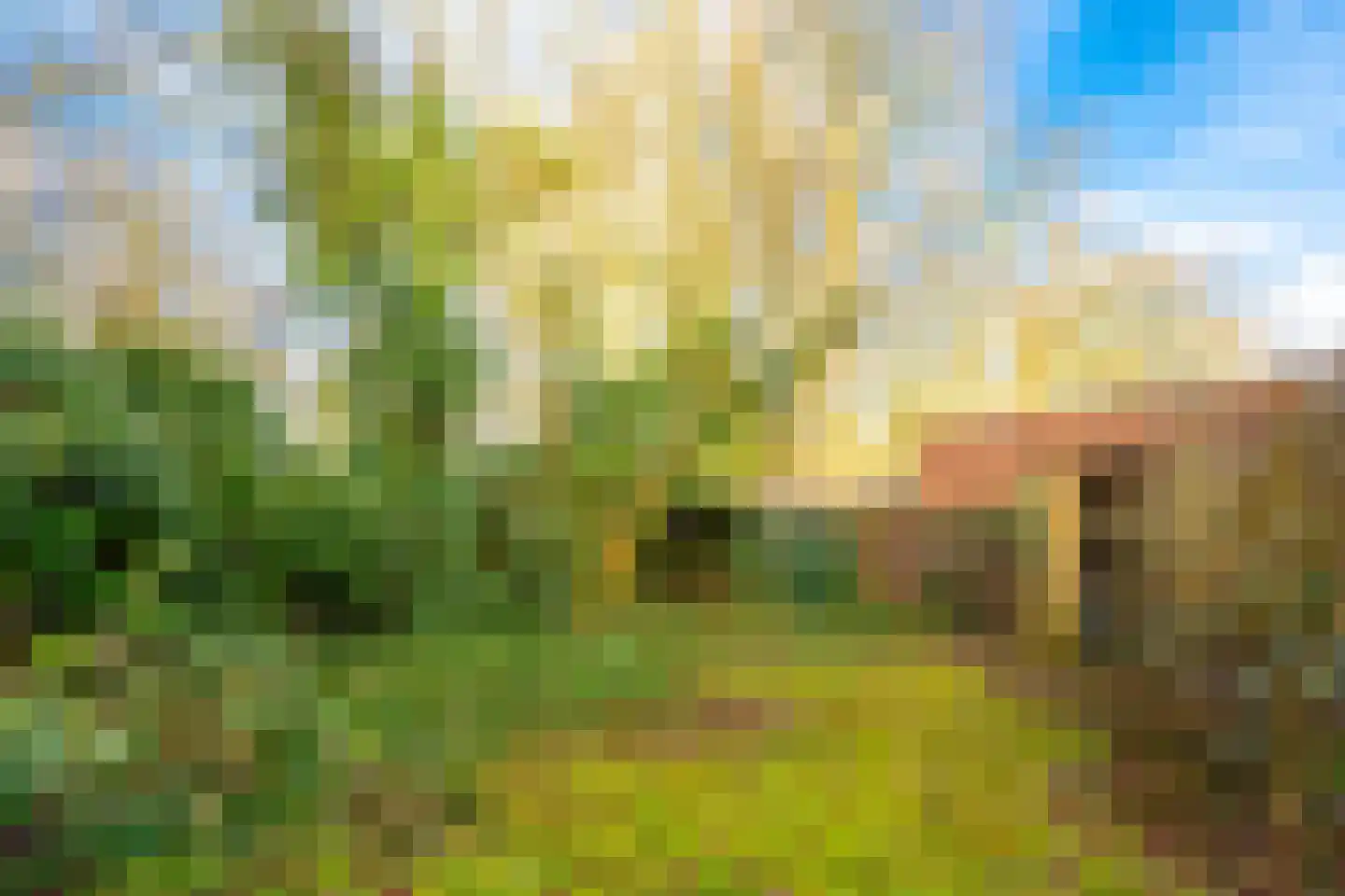 Dr. s'Jacoblaan 27 Zeist thumbnail 28