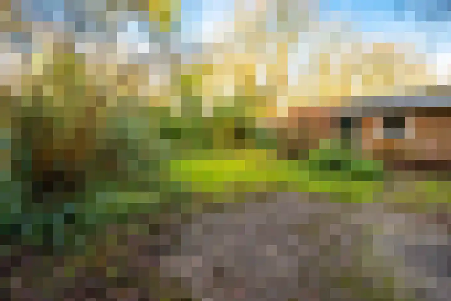 Dr. s'Jacoblaan 27 Zeist thumbnail 32