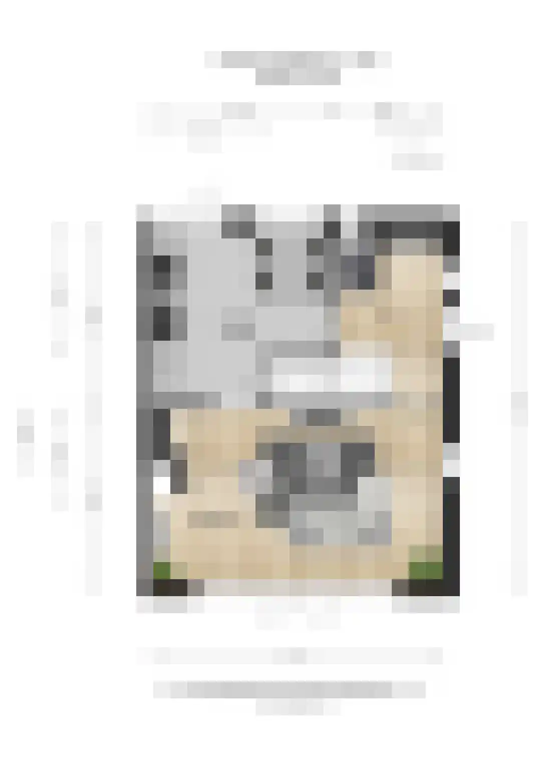 Dr. s'Jacoblaan 27 Zeist thumbnail 34