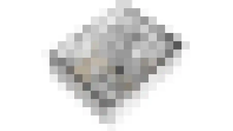 Dr. s'Jacoblaan 27 Zeist thumbnail 37
