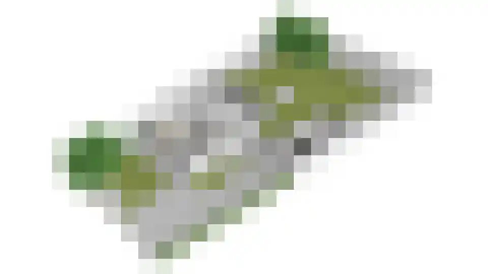 Dr. s'Jacoblaan 27 Zeist thumbnail 53