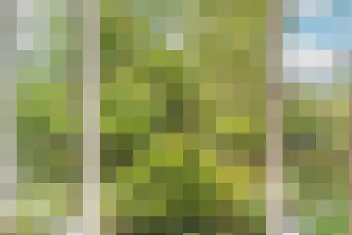 Dr. s'Jacoblaan 32 Zeist thumbnail 11