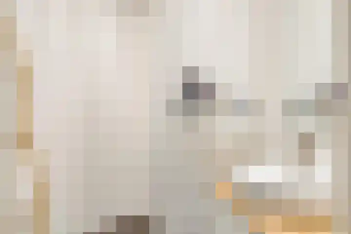 Dr. s'Jacoblaan 32 Zeist thumbnail 19