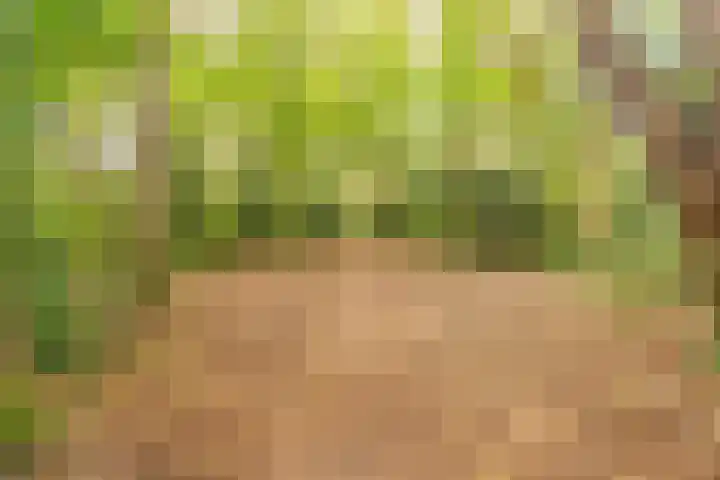 Dr. s'Jacoblaan 32 Zeist thumbnail 21