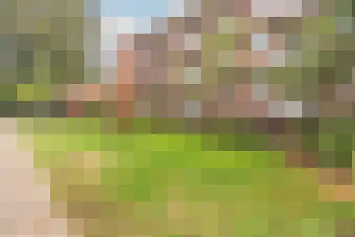 Dr. s'Jacoblaan 32 Zeist thumbnail 23