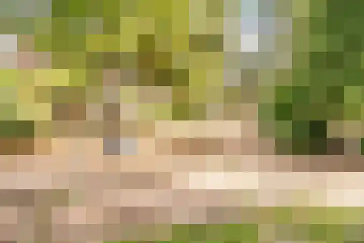 Dr. s'Jacoblaan 32 Zeist thumbnail 25