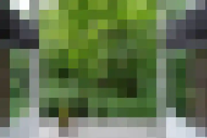 Dr. s'Jacoblaan 36 Zeist thumbnail 12