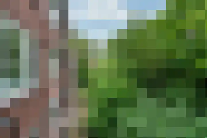 Dr. s'Jacoblaan 36 Zeist thumbnail 13