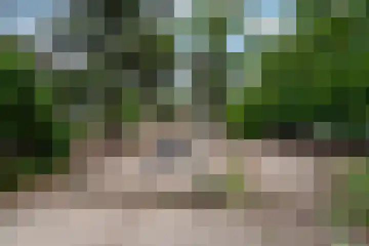 Dr. s'Jacoblaan 36 Zeist thumbnail 28