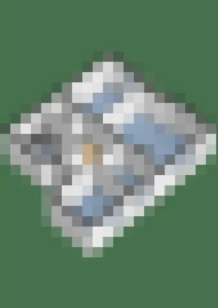 Dr. s'Jacoblaan 36 Zeist thumbnail 30