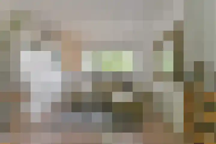 Dr. s'Jacoblaan 36 Zeist thumbnail 9
