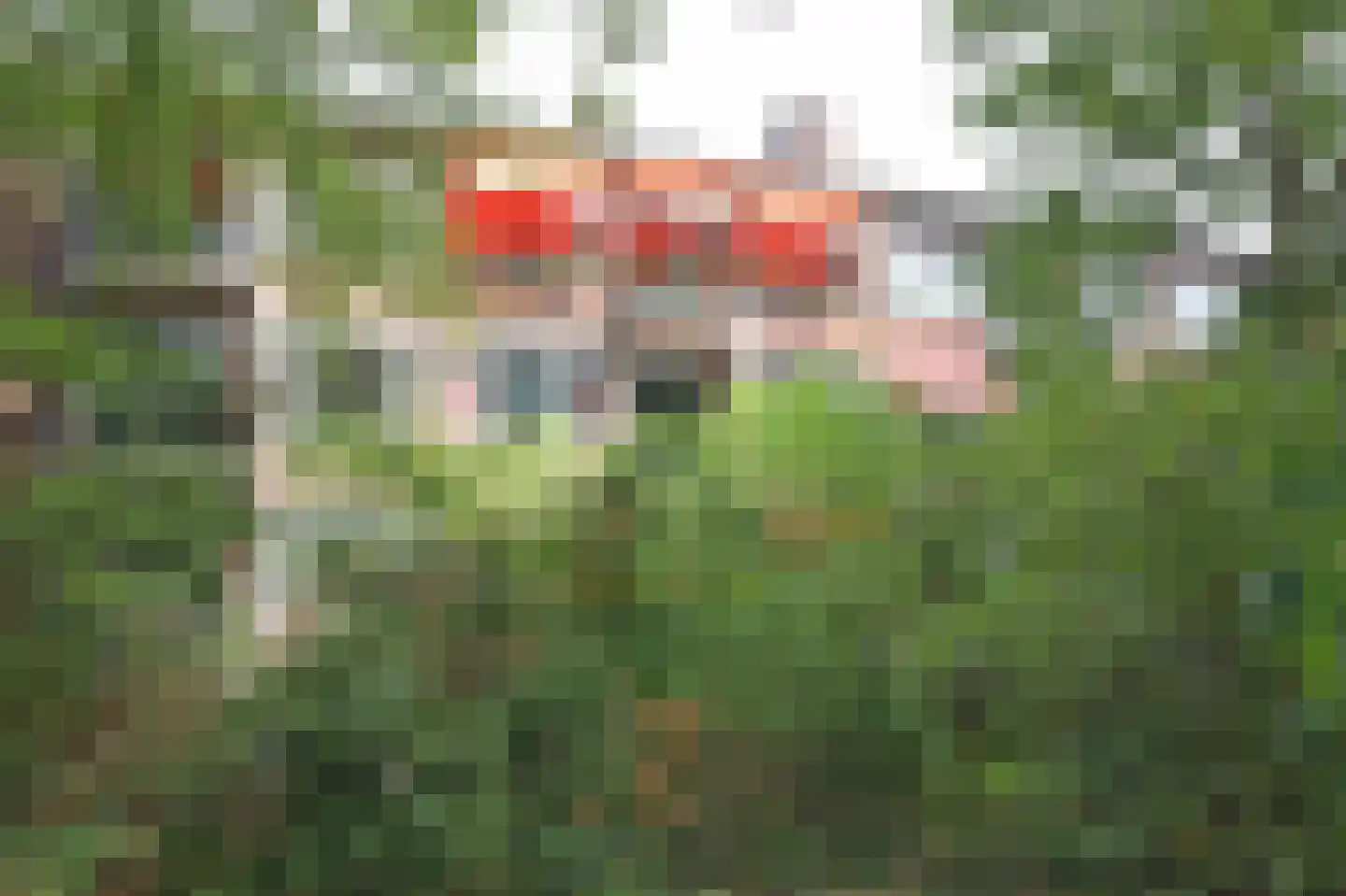 Dr. s'Jacoblaan 38 Zeist thumbnail 21