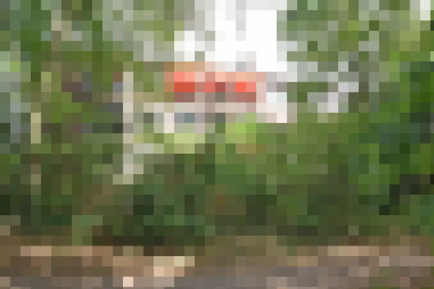 Dr. s'Jacoblaan 38 Zeist thumbnail 22