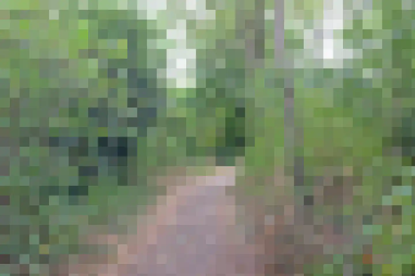 Dr. s'Jacoblaan 38 Zeist thumbnail 23